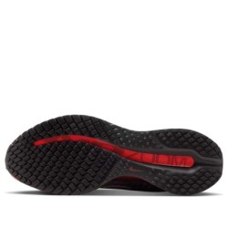 Nike Pegasus Premium - Soutien Anatomique Confort Sur Mesure